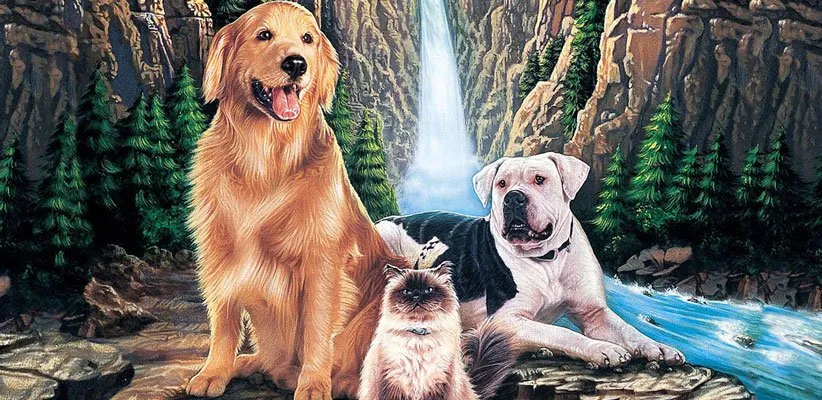 جست و خیز به سوی خانه