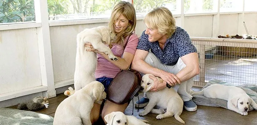 فیلم مالی و من