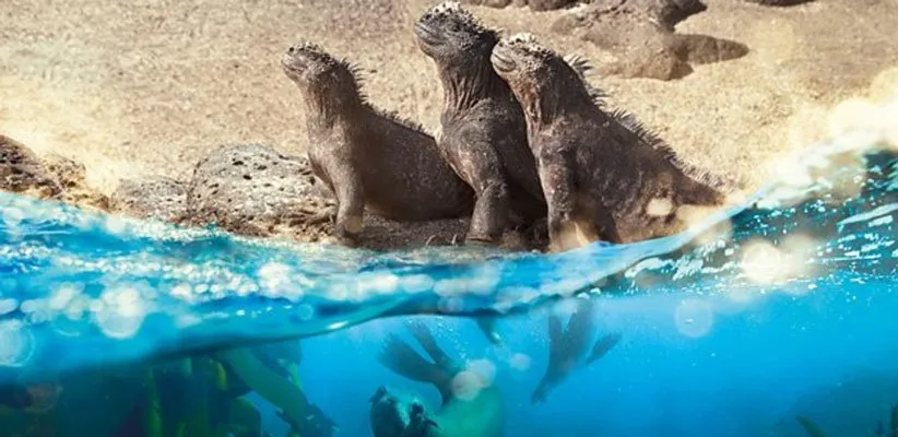 مستند سیاره ی زمین