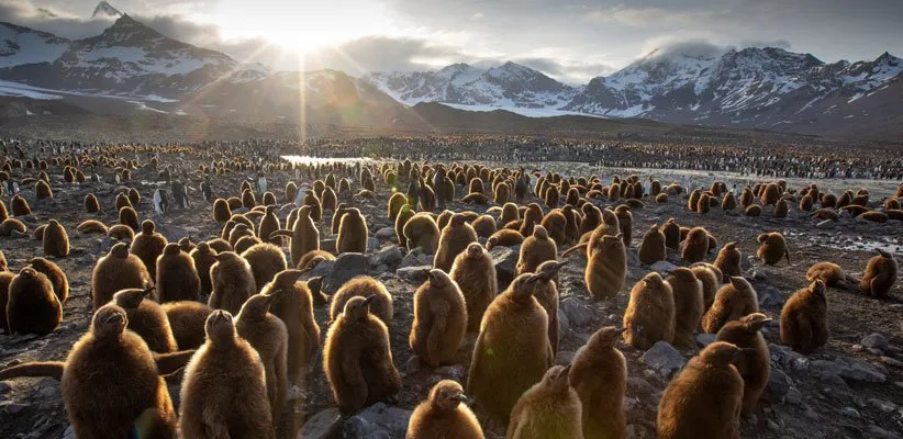 مستند هفت جهان