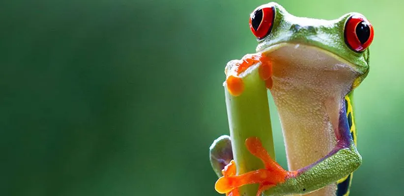 مستند سیاره ی زمین 2