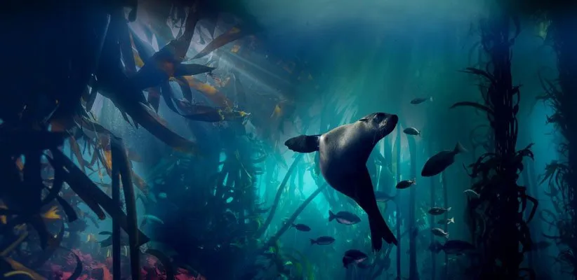 مستند سیاره ی آبی 2