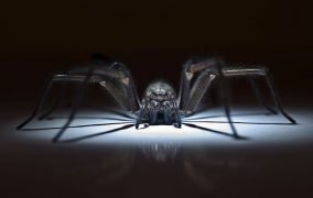 راه‌هایی برای فراری دادن ترسناک‌ترین حشرات از خانه