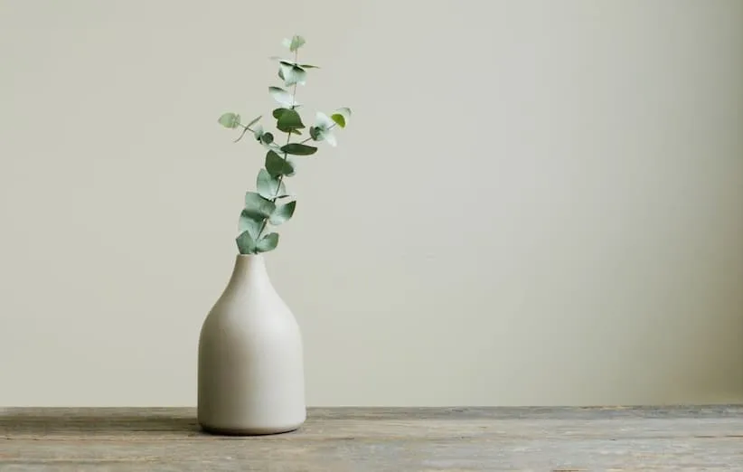 دفع حشرات موذی - اکالیپتوس