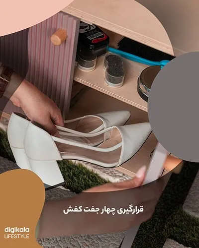 جاکفشی کوچک