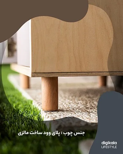 اورگانایزر کفش