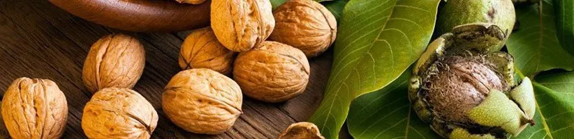 ۲۰ خاصیت جادویی گردو و عوارض جانبی احتمالی آن