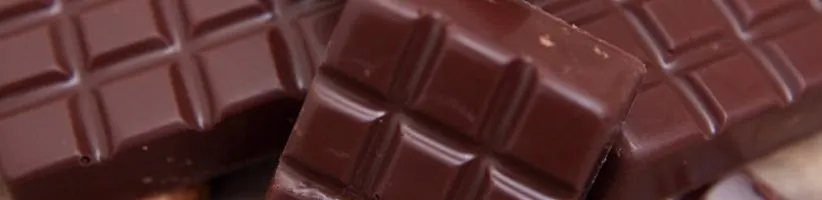 ۱۰ غذای پرچرب که برای سلامتی بسیار مفیدند!