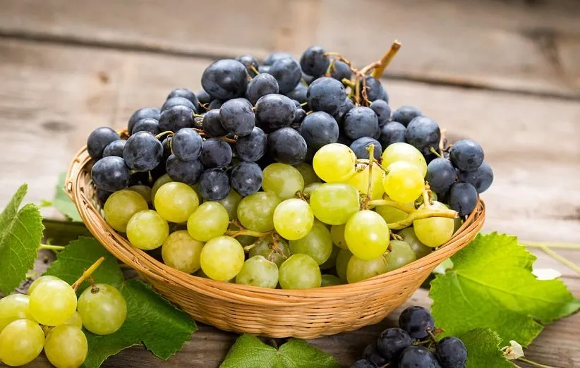 نحوه‌ی استفاده از روغن روی پوست