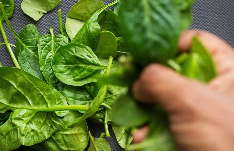 ویتامینهای موجود در سبزیجات برگدار و تیرهرنگ