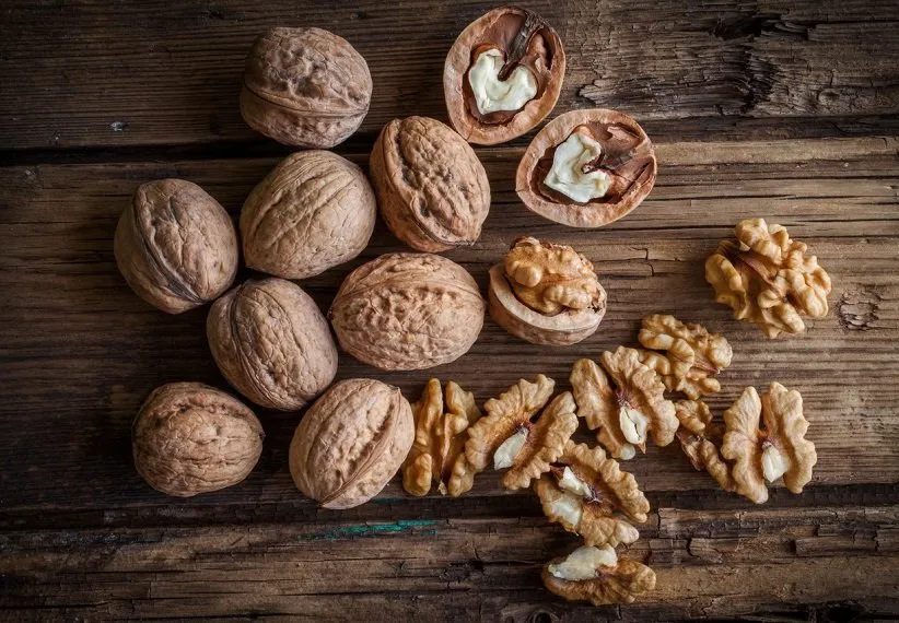 گردوها برخی از اسیدهای آمینه را دارا هستند