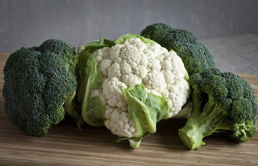 مواد مغذی موجود در کلم بروکلی و کلم غنچهای
