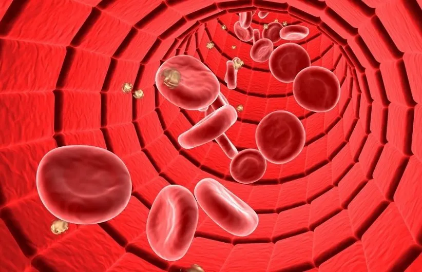 رژیم‌های گروه خونی کارآمد هستند