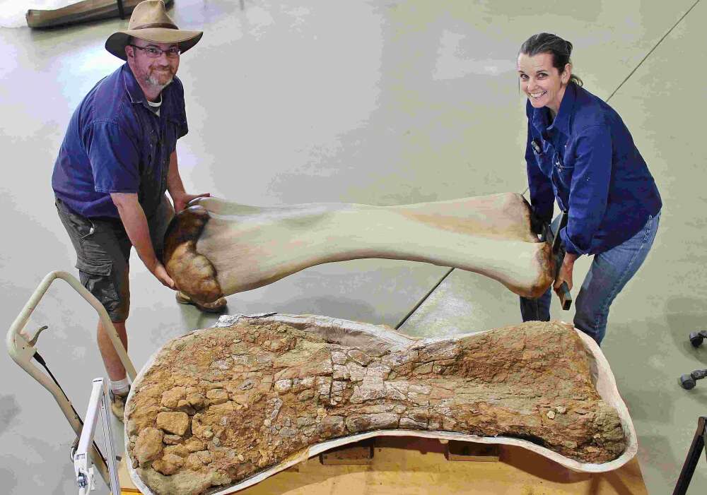 مدل‌سازی سه‌بعدی از فسیل‌های کشف شده استرالوتایتان