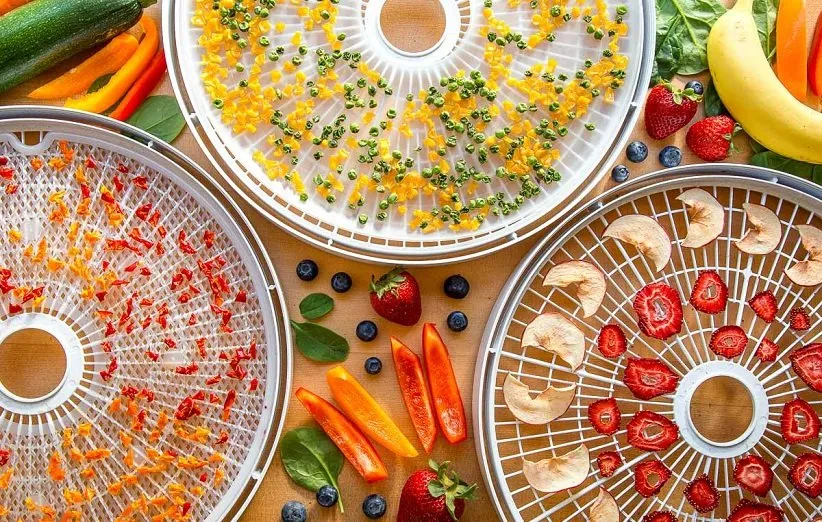 میوه‌ِ خشک شده با دستگاه میوه‌ خشک‌کن