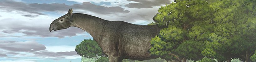 فسیل‌های جدیدی از کرگدن‌های غول‌پیکر در چین کشف شد؛ بزرگ‌ترین پستاندار خشکی‌زی تاریخ
