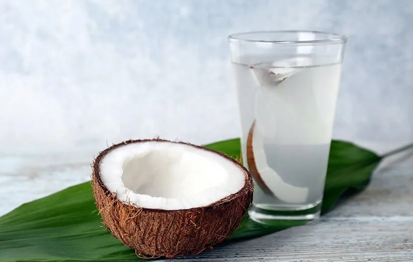 شیر نارگیل خواص ضدباکتریایی، ضدویروسی و ضدقارچی دارد