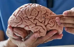 اندورفین چیست؟