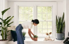 نگهداری از گیاهان آپارتمانی