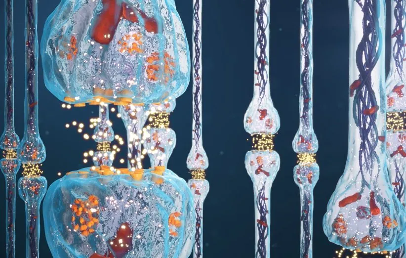 انتقال‌دهنده‌های عصبی