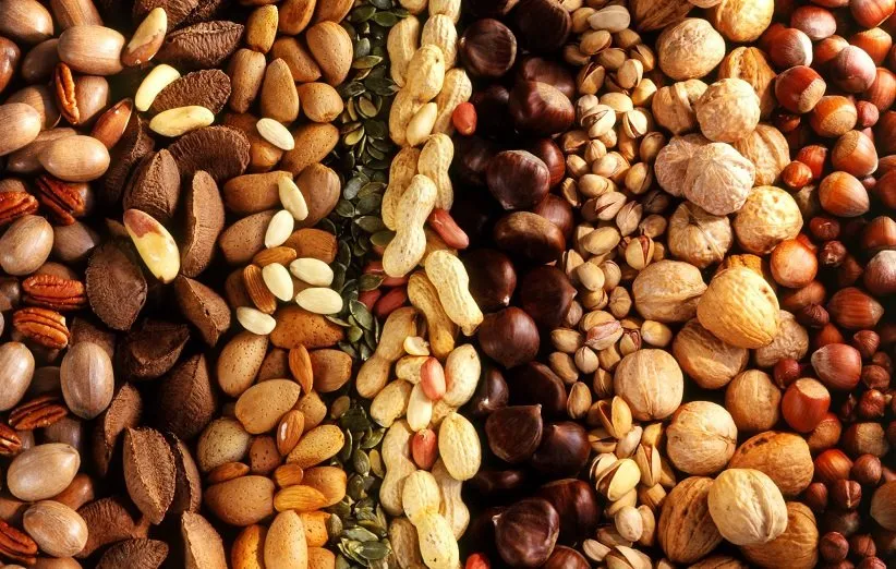 مغزها خیلی چرب نیستند