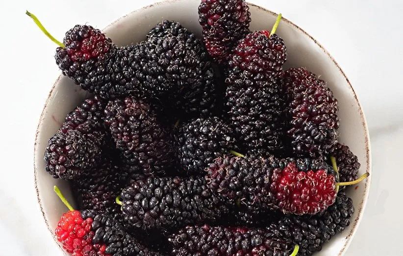 تقویت سیستم ایمنی بدن