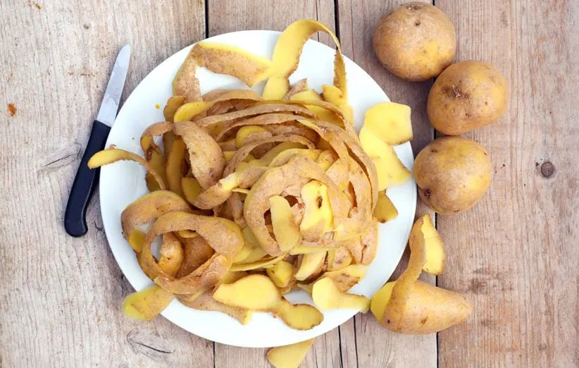 پسماند در آشپزخانه