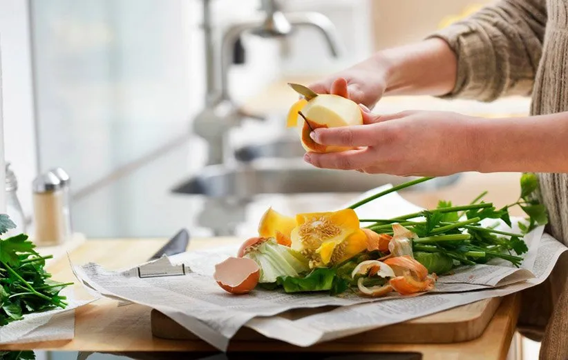 آشپزی بدون پسماند