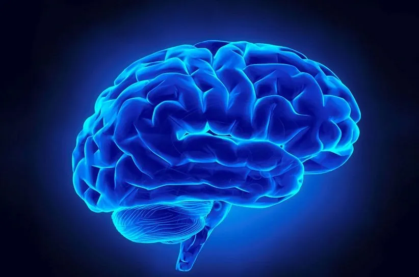 در هر لحظه، میلیونها یا حتی میلیاردها واکنش شیمیایی گوناگون در مغز رخ میدهند.