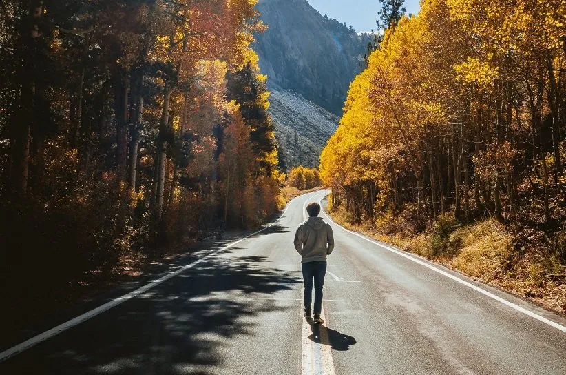 برای پیادهروی بیرون بروید