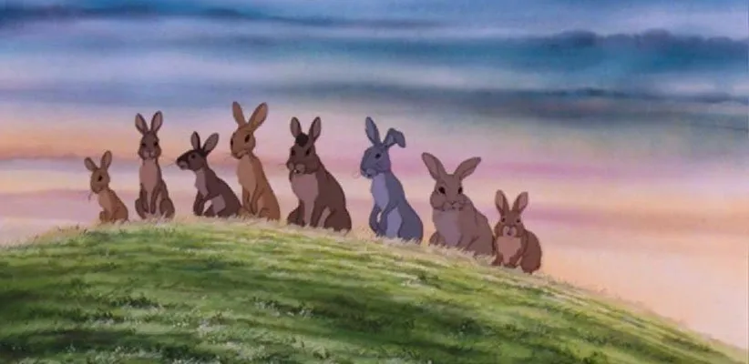 تپه ی خرگوش ها