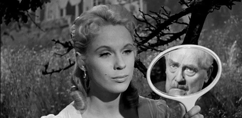 توت فرنگی های وحشی