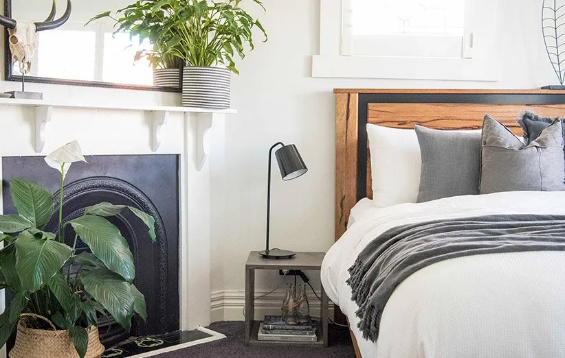 گیاهان آپارتمانی در اتاق خواب