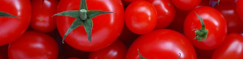 ۱۸ دلیل مهم برای اینکه بیشتر گوجه بخورید