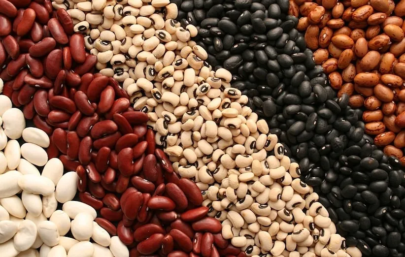 فواید عجیب و باورنکردنی ارزانترین منبع پروتئین جهان