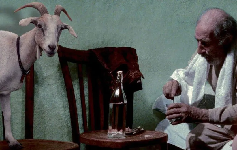 فیلم های بدون دیالوگ