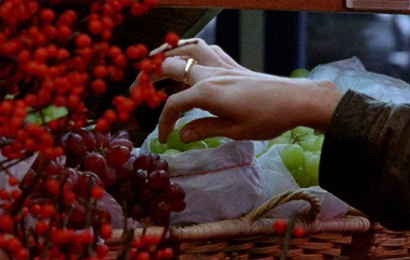 لذت دزدیده‌شدن. ۲۰۰۸. برادران سفدی