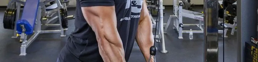 ۳ تمرین پشت بازوی عالی برای بازوهای زیبا و قدرتمند