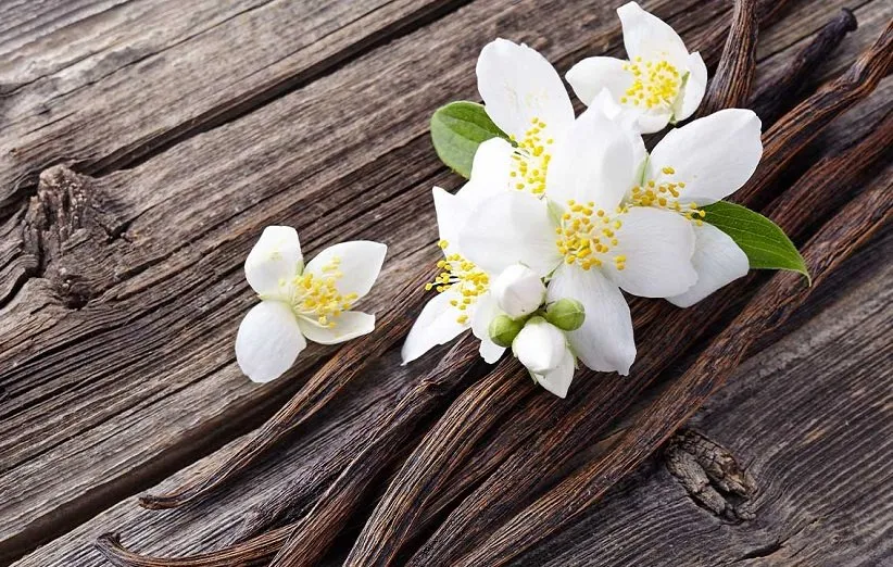 لایه‌بردار با وانیل