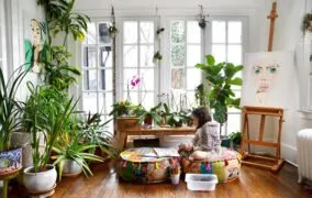 بهترین گیاهان آپارتمانی