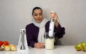 گوشت‌کوب برقی میگل