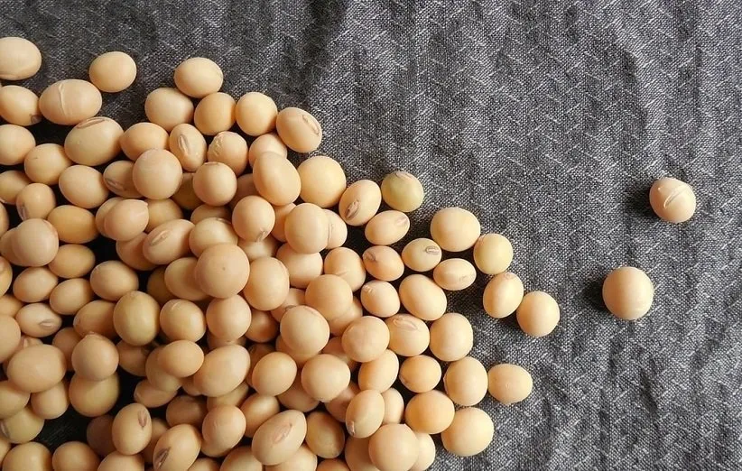 24 purinerich foods that may be bad for you batiyeh