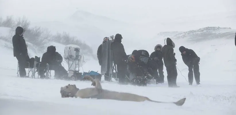 آخرین زمستان