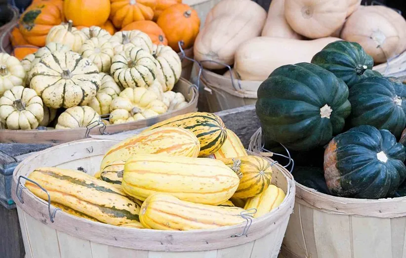 سطح کلسترول خون را کاهش می‌دهد