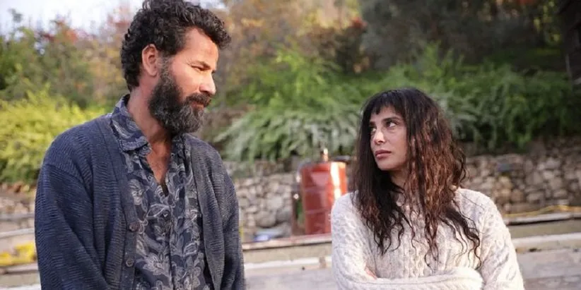 فستیوال تورنتو