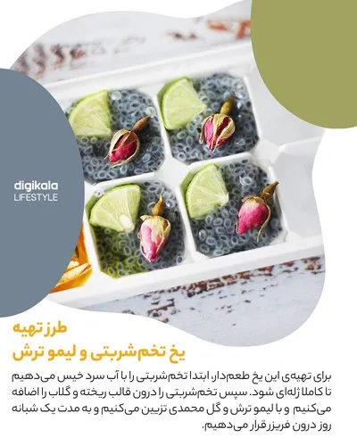 طرز تهیه یخ میوهای