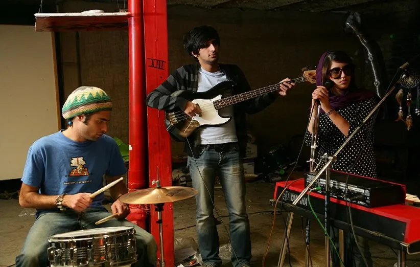 کسی از گربه های ایرانی خبر ندارد