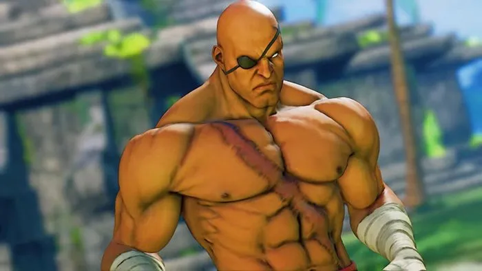 sagat