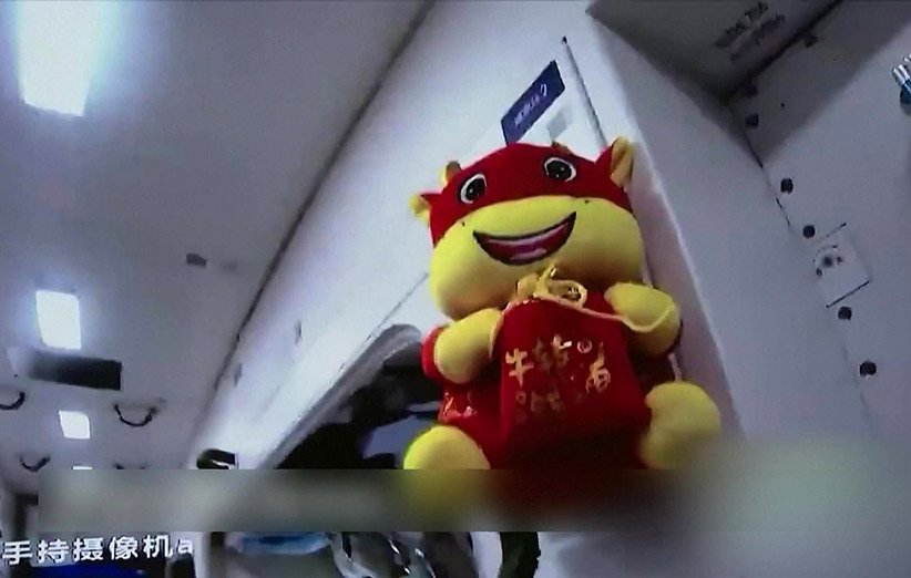 گاو عروسکی فرستاده شده به ایستگاه فضایی چین