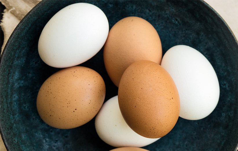 تخم‌مرغ قهوه‌ای یا سفید